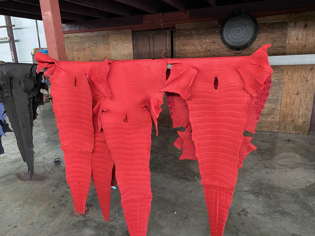 Брюхо крокодила ярко-красного цвета цена 500₽/см