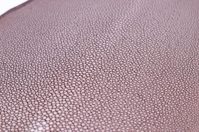 Полированная кожа морского ската ширина 21см 2011