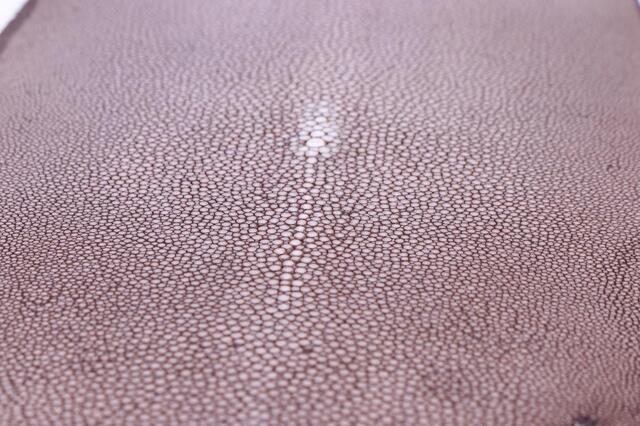 Полированная кожа морского ската ширина 21см 2011