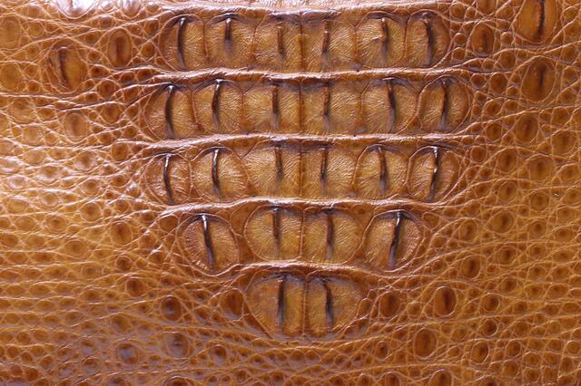 Сумка-портфель А4 из кожи крокодила 3119