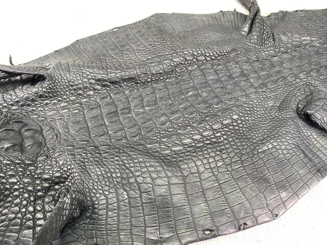 Шкура крокодила с головой и лапами 21см 2038