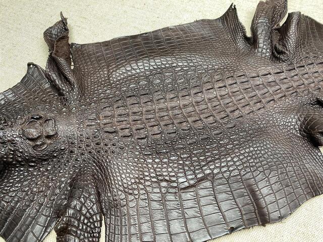 Кожа крокодила с головой и лапами 31см 2352