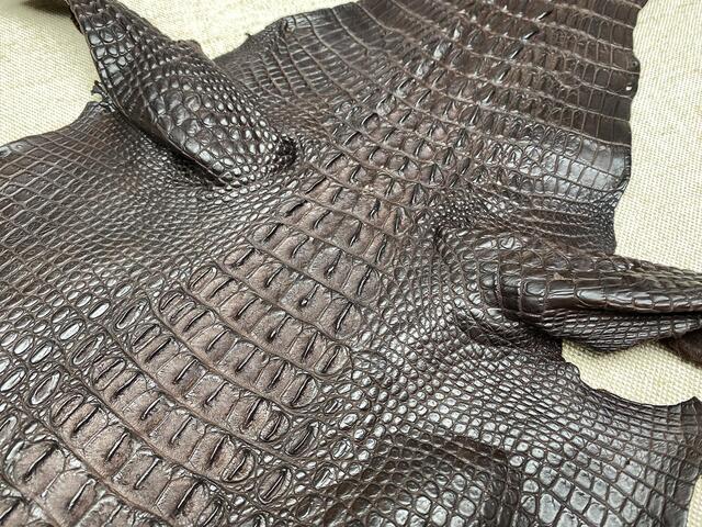 Шкура крокодила с головой и лапами 30см 2039