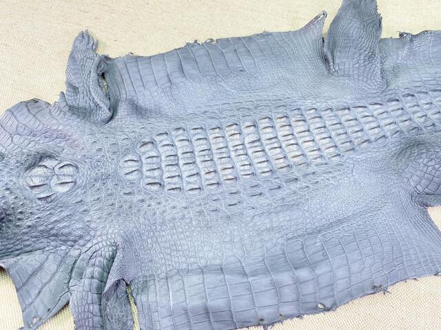 Кожа крокодила с головой и лапами 30см 2349