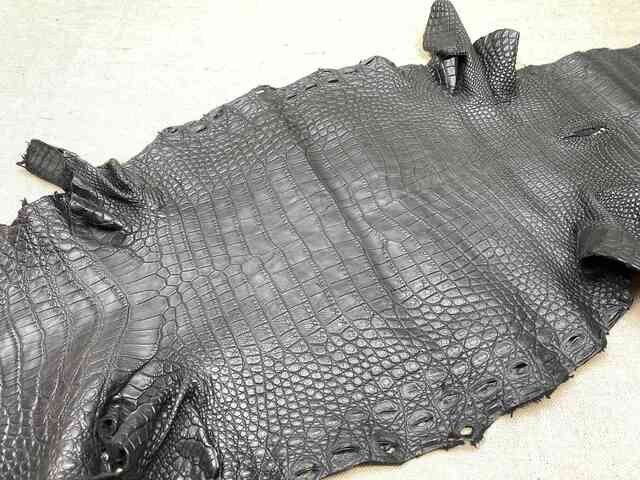 Кожа крокодила брюхо 44см 2257