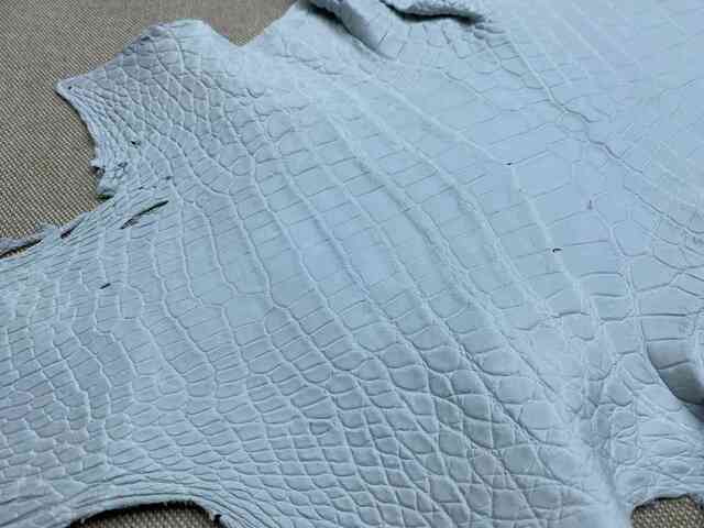 Кожа крокодила брюхо сорт А краст 42см 2227