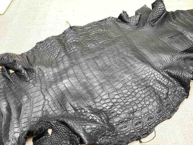 Кожа крокодила брюхо 38см 2254