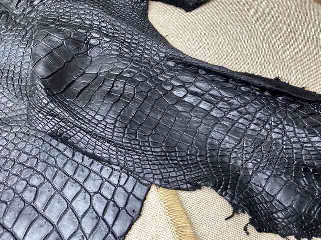 Кожа крокодила спинная часть 67см 2204