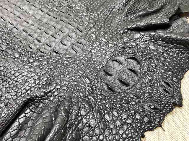 Кожа крокодила спинная часть 52см 2212