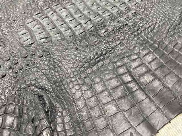 Кожа крокодила спинная часть 69см 2202