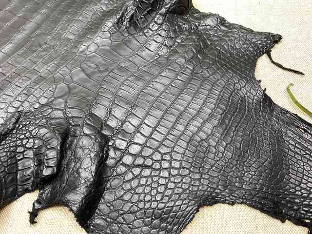 Кожа крокодила брюхо 28см 2243 