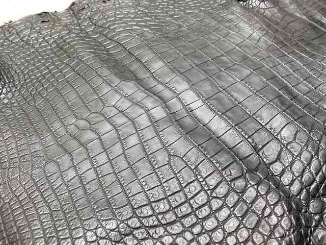 Кожа крокодила брюхо 30см 2245