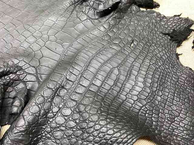 Одежная кожа крокодила, брюхо 36см 2217