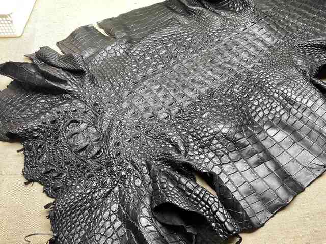 Кожа крокодила спинная часть 74см 2200