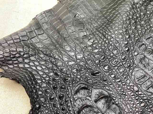 Кожа крокодила спинная часть 65см 2201