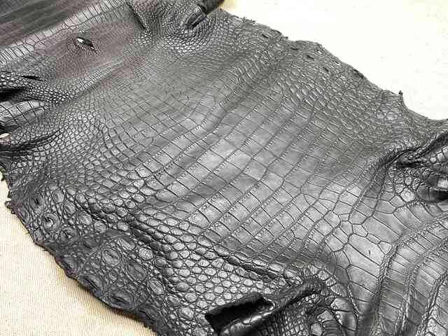Кожа крокодила брюхо 40см 2256
