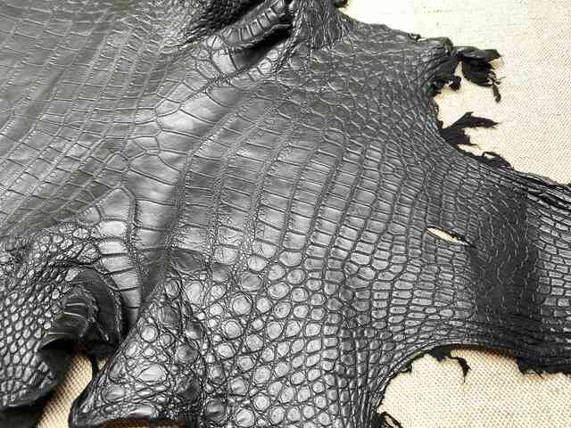 Кожа крокодила брюхо 32см 2250