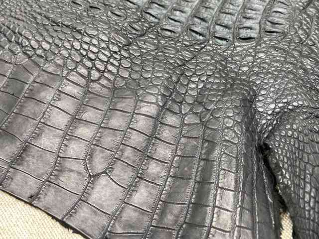 Кожа крокодила спинная часть 53см 2206