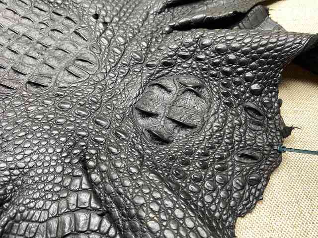 Кожа крокодила спинная часть 41см 2210