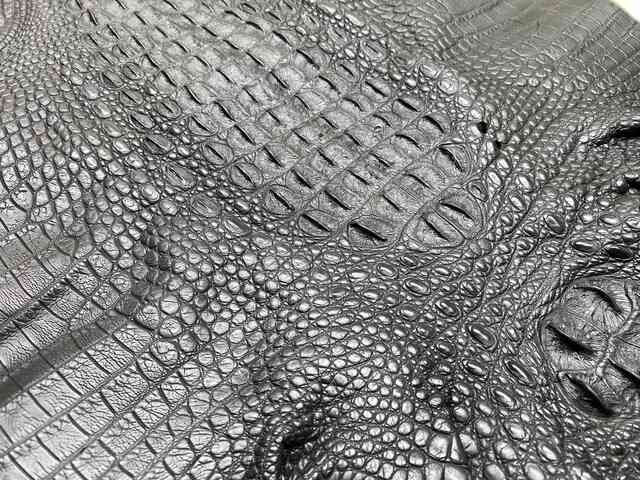 Кожа крокодила спинная часть 41см 2210