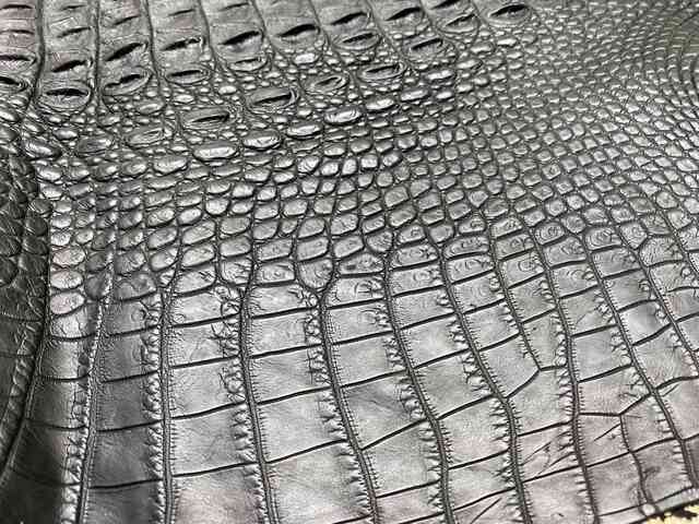 Кожа крокодила спинная часть 44см 2207