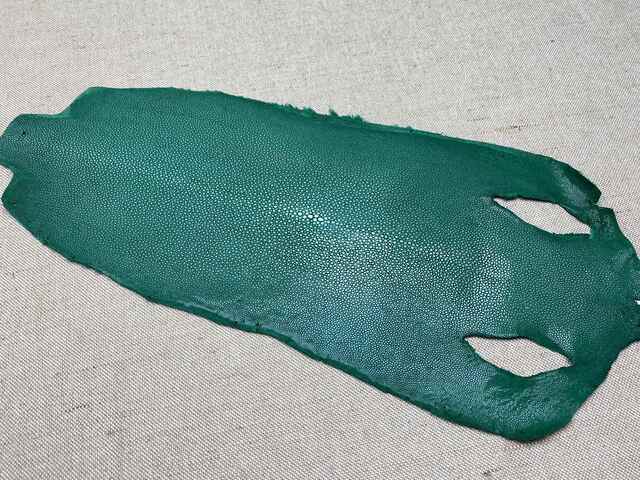 Полированная кожа морского ската 25,5см 2414