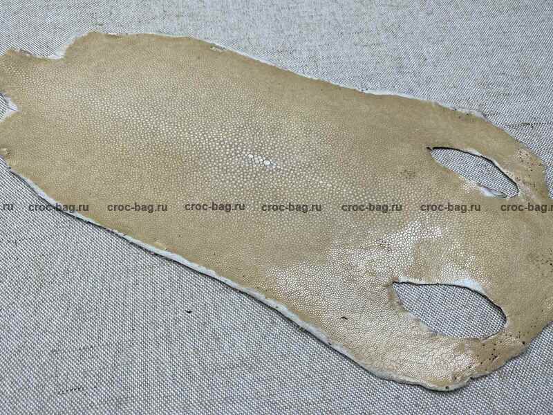 Полированная кожа морского ската 25,5см 2418