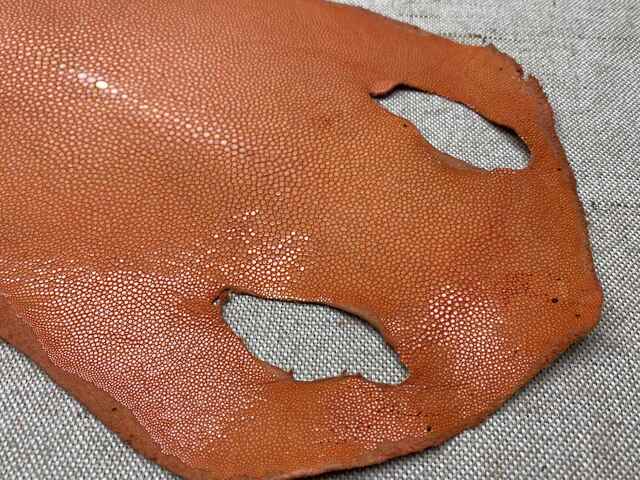 Полированная кожа морского ската 25,5см 2416