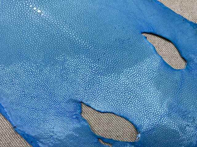 Полированная кожа морского ската 25,5см 2419