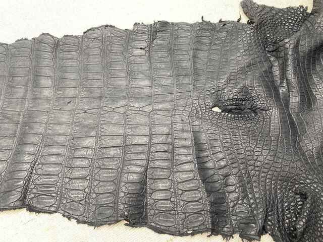 Одежная кожа крокодила 46см 2434