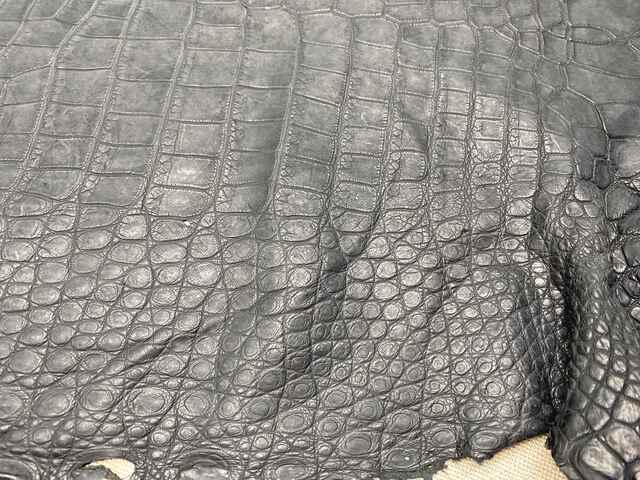 Одежная кожа крокодила 47см 2437
