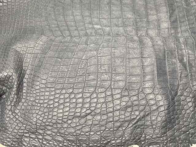 Одежная кожа крокодила 47см 2437