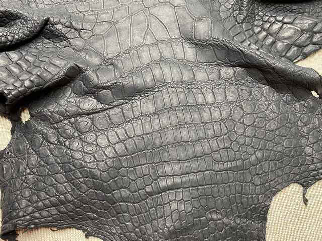 Одежная кожа крокодила 47см 2438
