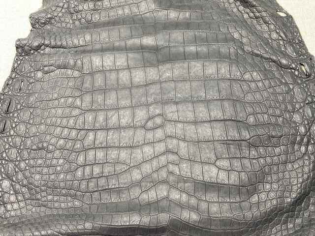 Одежная кожа крокодила 47см 2438