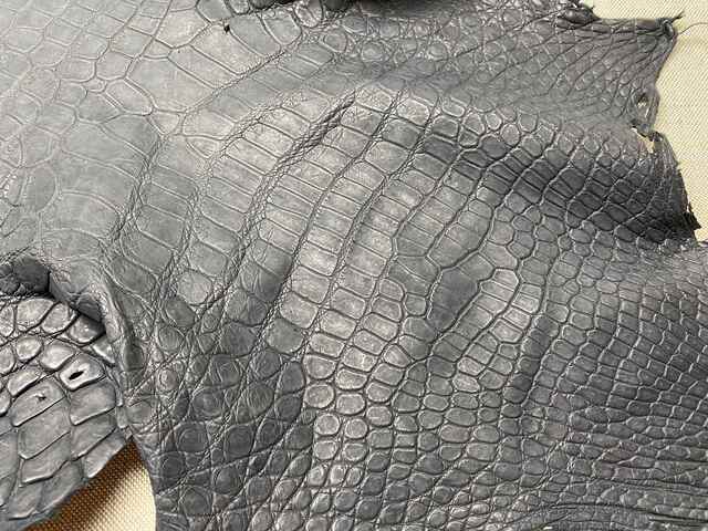Одежная кожа крокодила 48см 2431