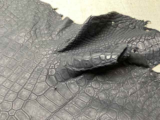 Одежная кожа крокодила 48см 2431