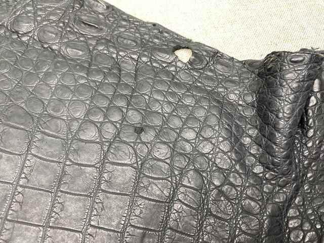 Одежная кожа крокодила 47см 2433