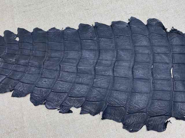 Одежная кожа крокодила 47см 2433