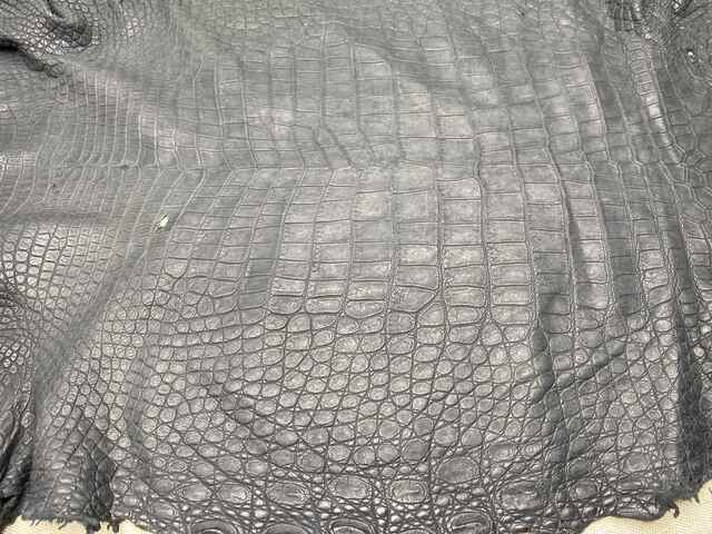 Одежная кожа крокодила 46см 2434
