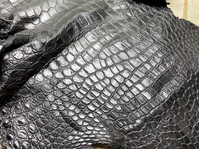 Одежная кожа крокодила 57см 2473