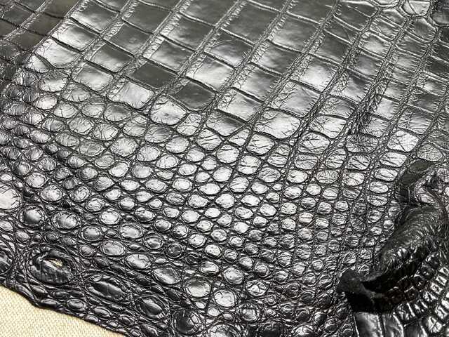 Одежная кожа крокодила 57см 2473