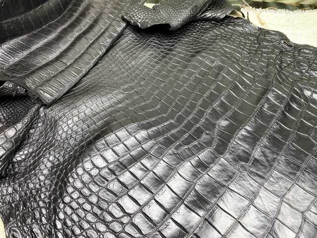 Одежная кожа крокодила 57см 2474