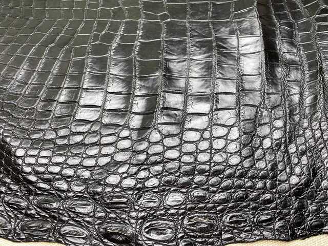 Одежная кожа крокодила 57см 2474