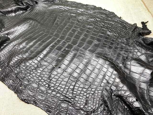 Одежная кожа крокодила 53см 2471