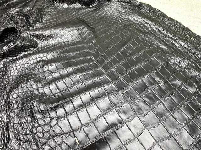 Одежная кожа крокодила 53см 2471
