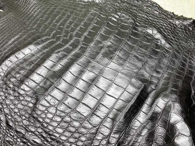 Одежная кожа крокодила 55см 2472