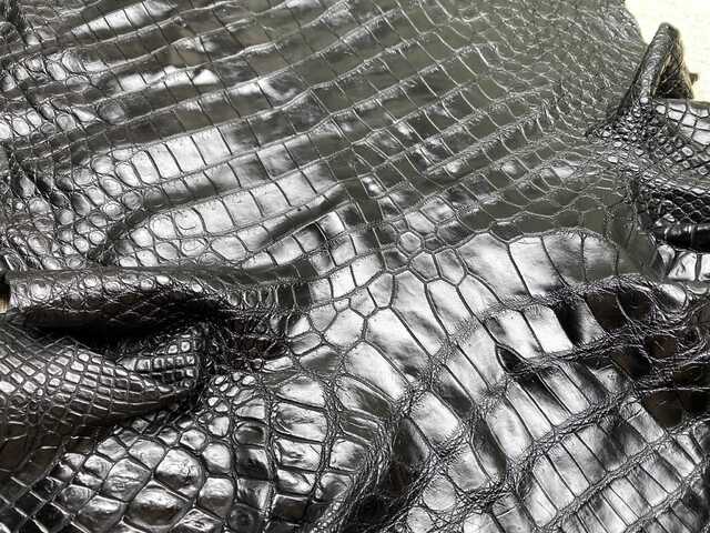 Одежная кожа крокодила 43см 2470