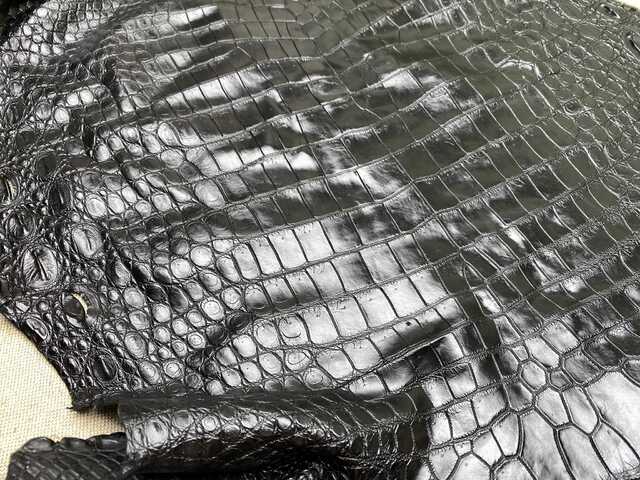 Одежная кожа крокодила 43см 2470
