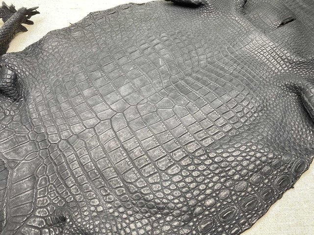 Кожа крокодила брюхо 48см 2481