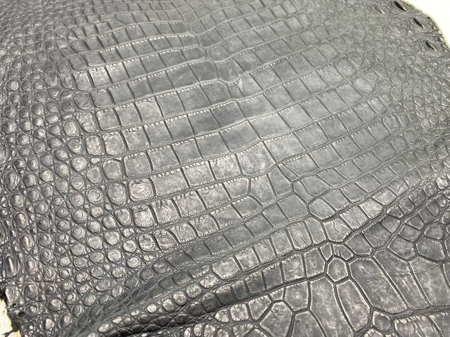 Кожа крокодила брюхо 48см 2480